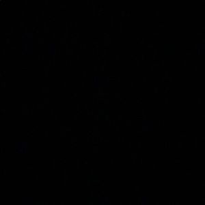 Meet your Posher, Zaniya